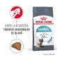 ROYAL CANIN Hairball Care Adult, droog kattenvoer, haarbal controle, 400g