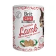 BRIT Care Snack Superfruits, Miele e Cocco, bocconcini per gatti senza cereali, 100g