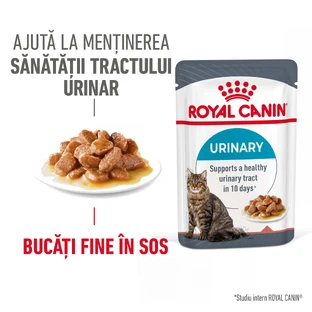 ROYAL CANIN Urinary Care Adult, wet cat food, urinary tract health, (in sauce), 85g