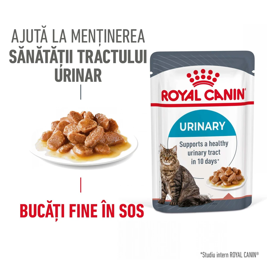 ROYAL CANIN Urinary Care Adult, wet cat food, urinary tract health, (in sauce), 85g