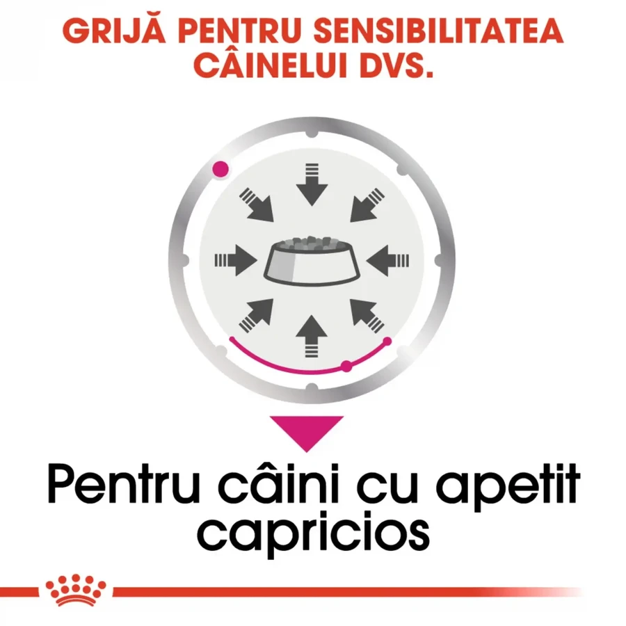 ROYAL CANIN ROYAL CANIN Exigent Adult wet food for dogs with fussy appetite (pate), 85g