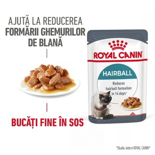 ROYAL CANIN Hairball Care Adult, feuchtes Katzenfutter, gegen Haarballen, (in Sauce), 85g