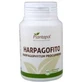 Plantapol Harpagophytum 100 Tablete