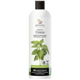 Armonia Nettle Anti-Grease Shampoo 250 ml