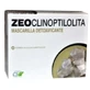 Cfn Zeoclinoptiloliet 30Sbrs