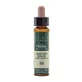 Artesania Sweet Chestnut Plantis Bach Flowers No 30 10Ml