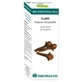 Equisalud Bio Etherische oliën Kruidnagel etherische olie 10Ml