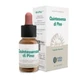 Forza Vitale Quinta Essence Pine (Pine) 10Ml