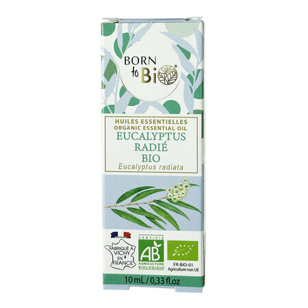 Aceite esencial de eucalipto radiata Bio, 10 ml, Born to Bio