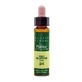 Artesania Pine Plantis Flori de Bach nr. 24 10Ml