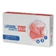 Urimil Forte Max, 30 capsules, NaturPharma