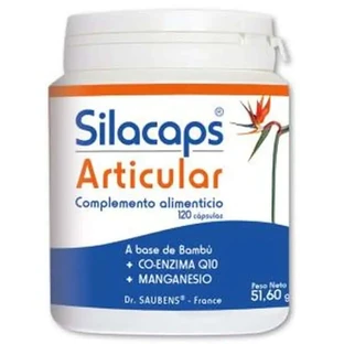 Labo Sante Silice Silacaps +1 Articular 120Caps