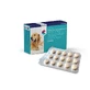 Covetrus Nutricarevet Suplement na stawy dla psów i kotów, 45Cpd