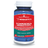 Echinacea Indiana, 60 capsules, Herbagetica