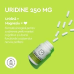 Uridine Good Routine, 250 mg, 30 capsule, Secom