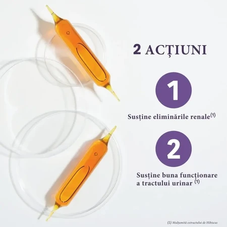 Confort Urinaire Bio, 20 x 10 ml, Santarome 