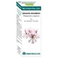 Equisalud Bio Etherische oliën Geranium B. Ac. Etherisch 10Ml