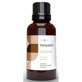 Terpenic Kümmel Ätherisches Öl 30Ml