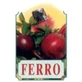 Bellsola Xer22 Ferro sirop 250Ml