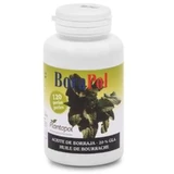 Plantapol Borapol (Borage Oil 100g) 120Strips