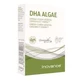 Inovance Dha Algae 30Perlas