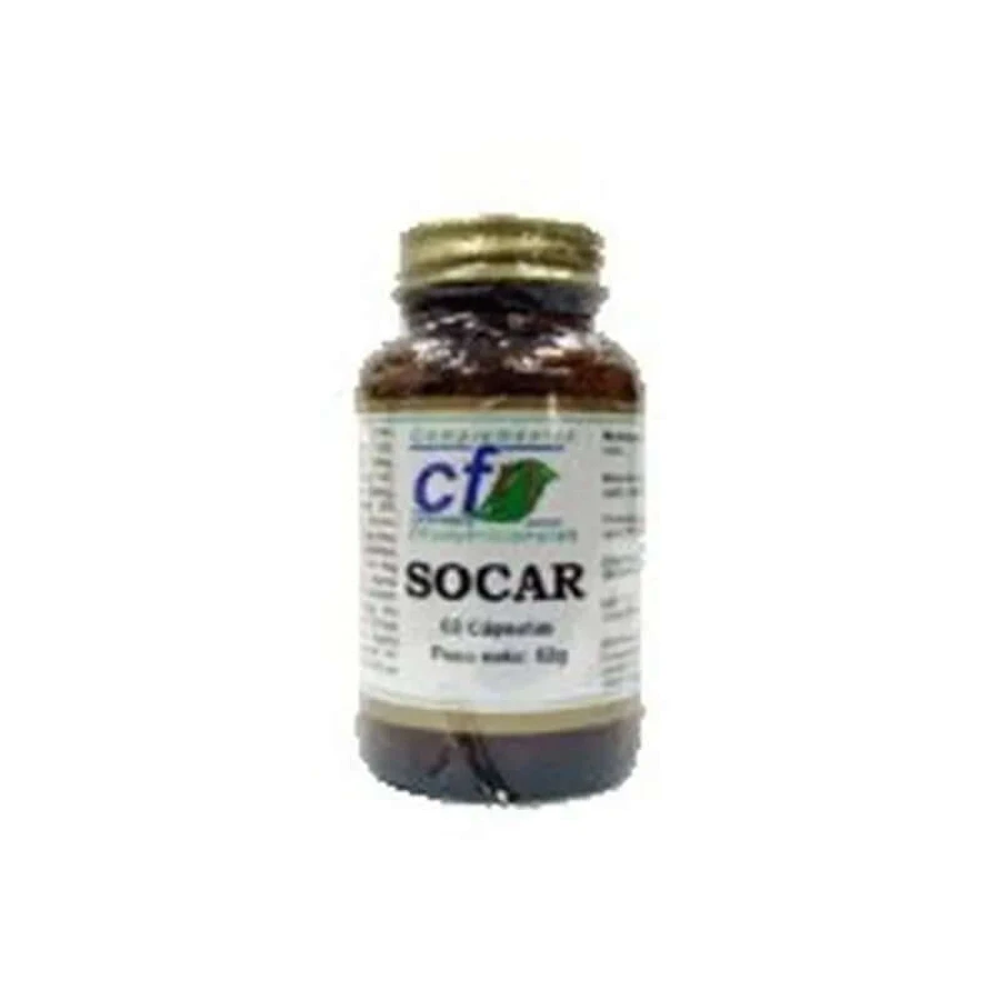 Cfn Socar , 60 Kapseln