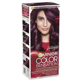 Garnier Color Sensation Crema Colore Permanente 3.16 Violino Intenso