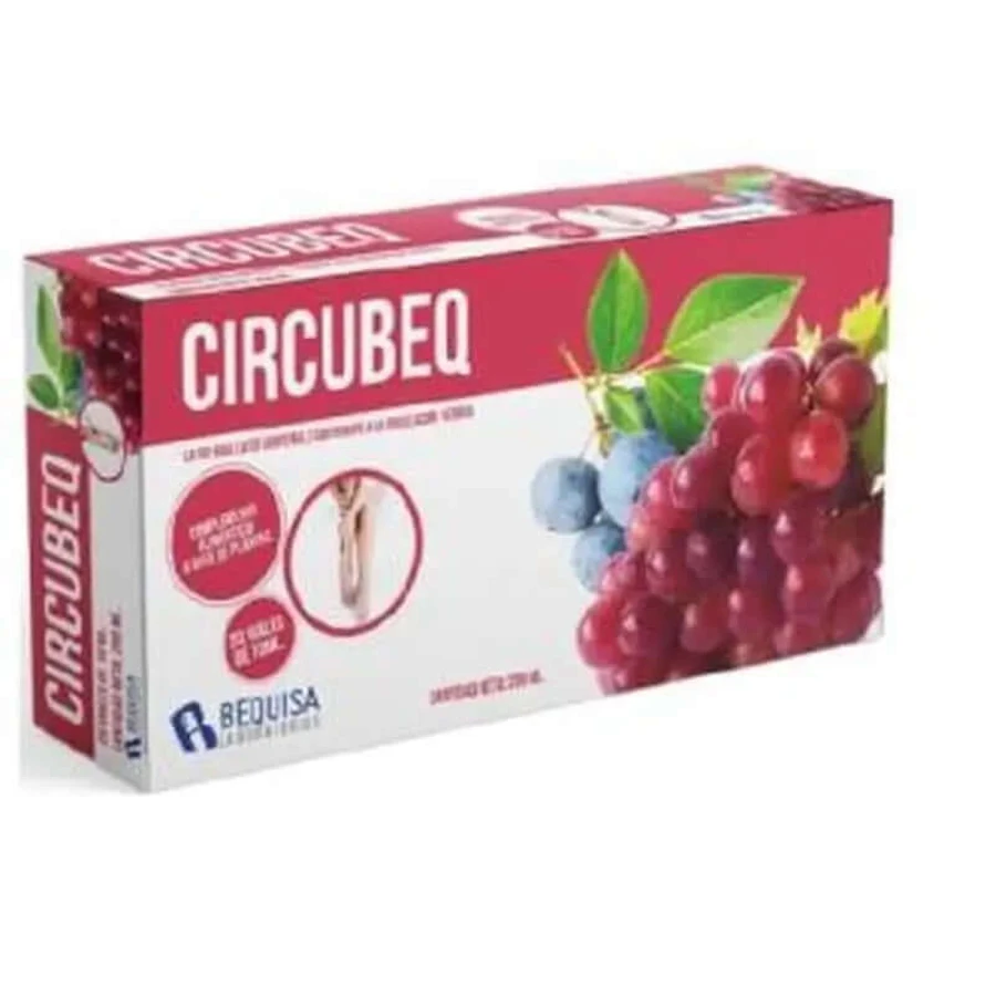 Bequisa Circubeq 20Viale