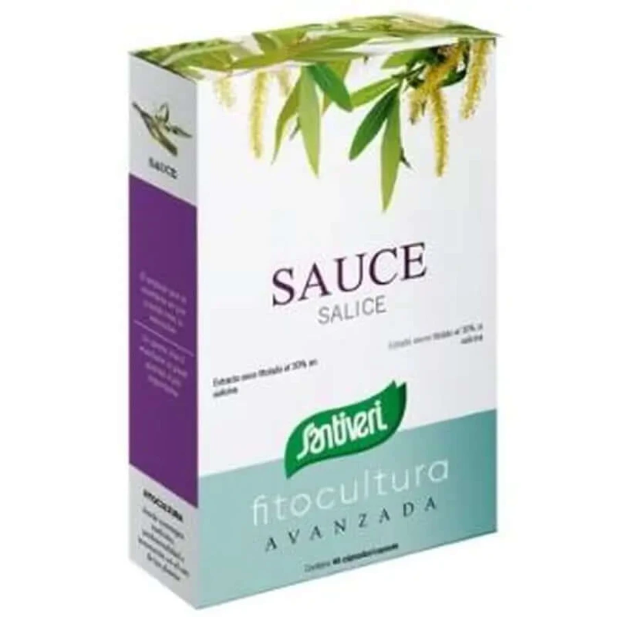 Saule Santiveri 40Cap