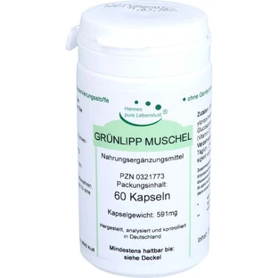CAPSULES DE MUSHROOM VERT 60 Capsules