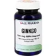 GINKGO 100 mg GPH Kapsułki 30 kapsułek