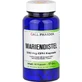 MARIAN THISTLE 500 mg GPH Kapsułki 90 kapsułek