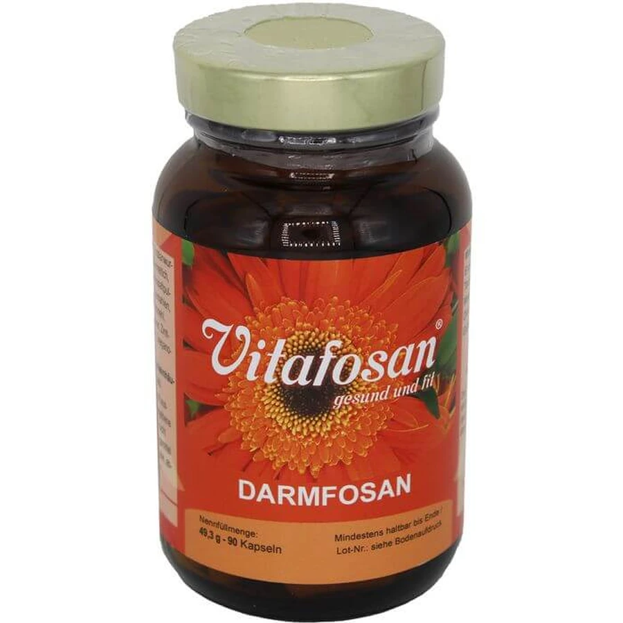 DARMFOSAN Kapseln 90 St.