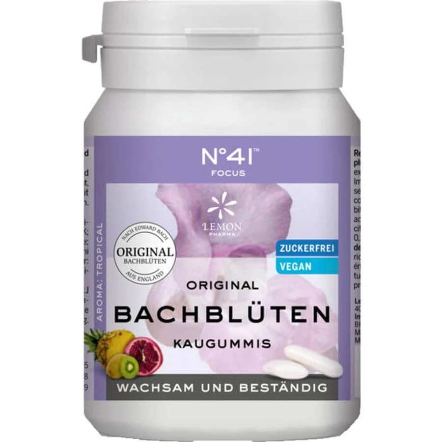 KONZENTRATION Kaugummi nach Dr.Bach 40 St.