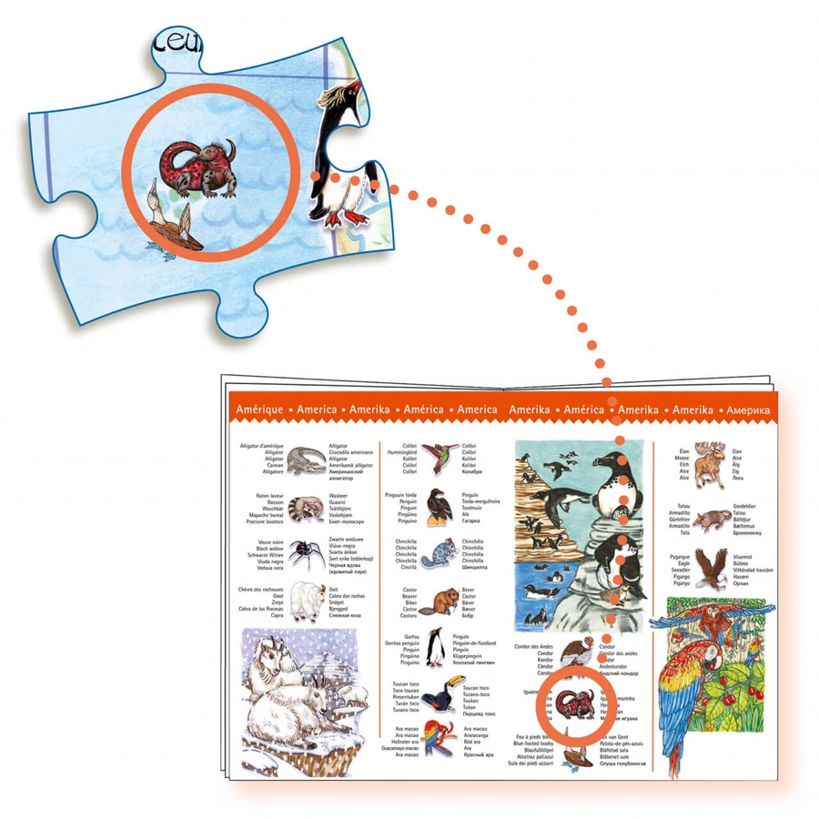 Djeco Puzzle di osservazione degli animali del mondo