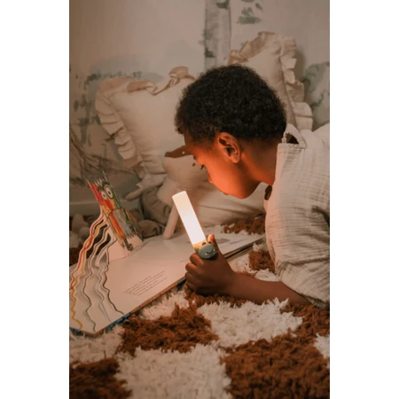 Lampada portatile intelligente Dinozaur 3 in 1
