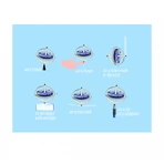 UFO Navir Kreisel