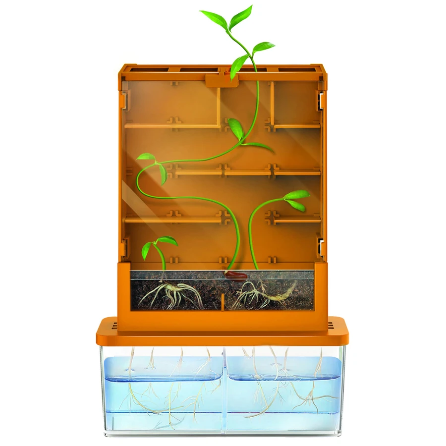 Kit científico - Cultiva un laberinto, Ciencia verde - Ciencia verde