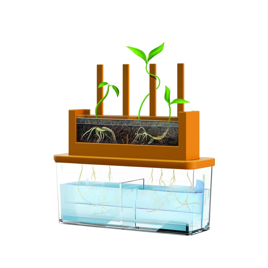 Kit científico - Cultiva un laberinto, Ciencia verde - Ciencia verde