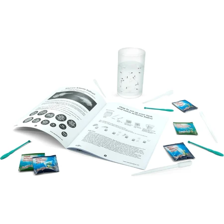 Kit didattico sul ciclo vitale di Artemia Salina