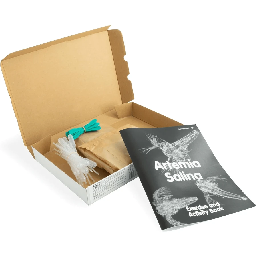 Kit didattico sul ciclo vitale di Artemia Salina