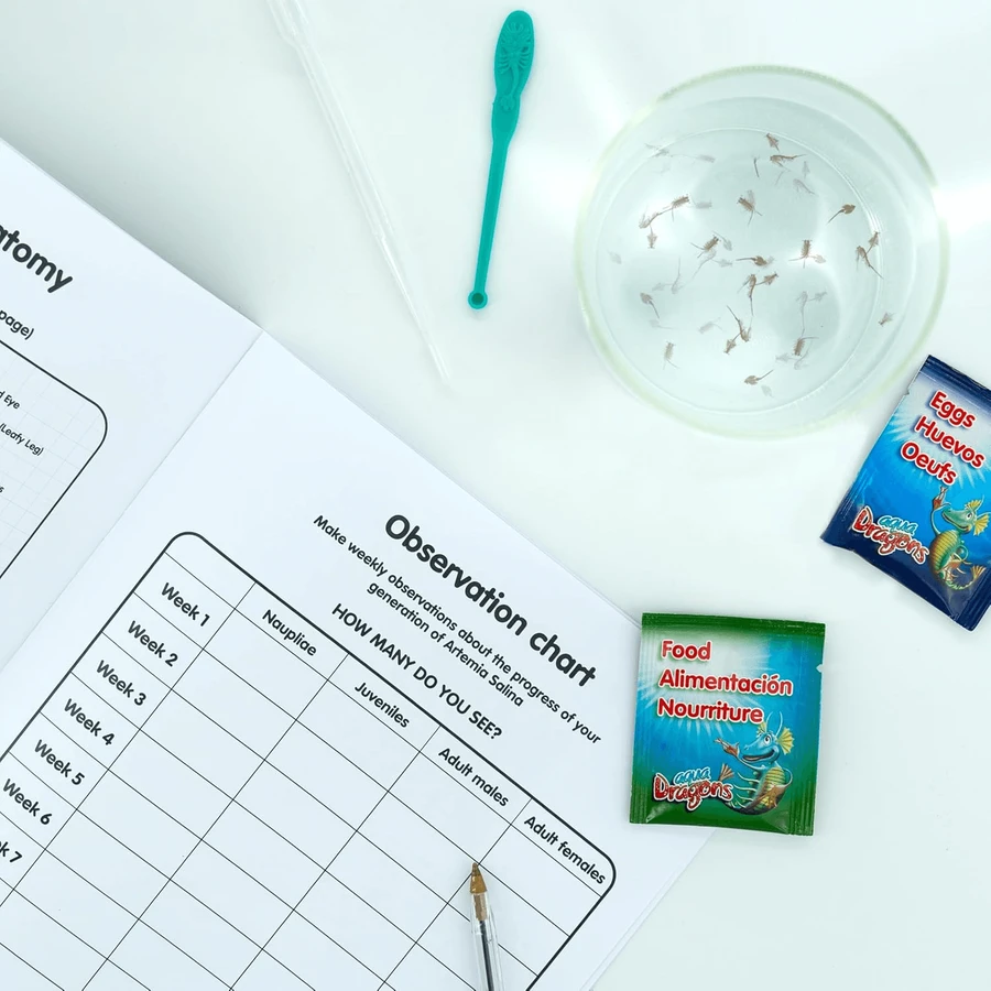 Kit didattico sul ciclo vitale di Artemia Salina
