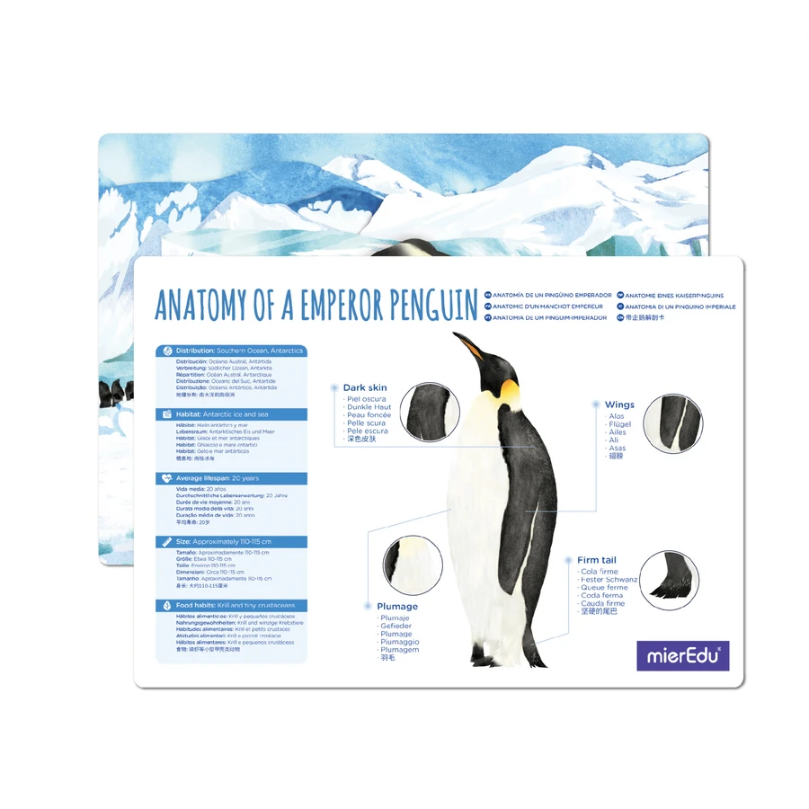 Puzzle 3D ajustable - Pingouin impérial (deluxe)