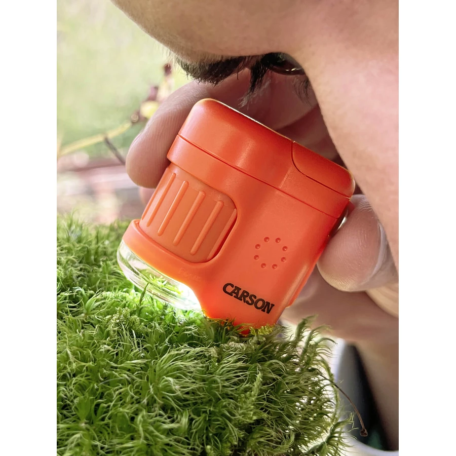 Portable microscope with keyring, 20x magnification, MicroMini, Safari