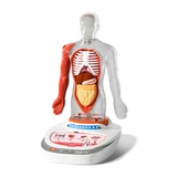 Jeu STEM Anatomie humaine, TopBright