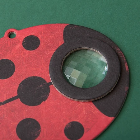 Optisches Spielzeug Londji, Marienkäfer