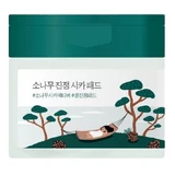 Krążki czyszczące Pine Tree, 50 sztuk, Round Lab