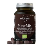 Extracto de setas shiitake, maitake y reishi Mico Mix, 70 cápsulas, Hifas da Terra