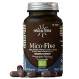 Extracto de setas reishi, maitake, shiitake, agaricus y chaga Mico Five, 70 cápsulas, Hifas da Terra
