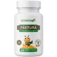 Probiotic Pastura, 60 caspule vegetale, Onedia
